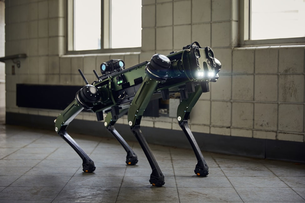Robotica NG IP