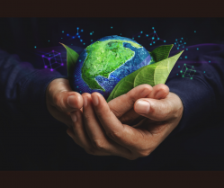 Regeneración planeta digialización sostenibilidad